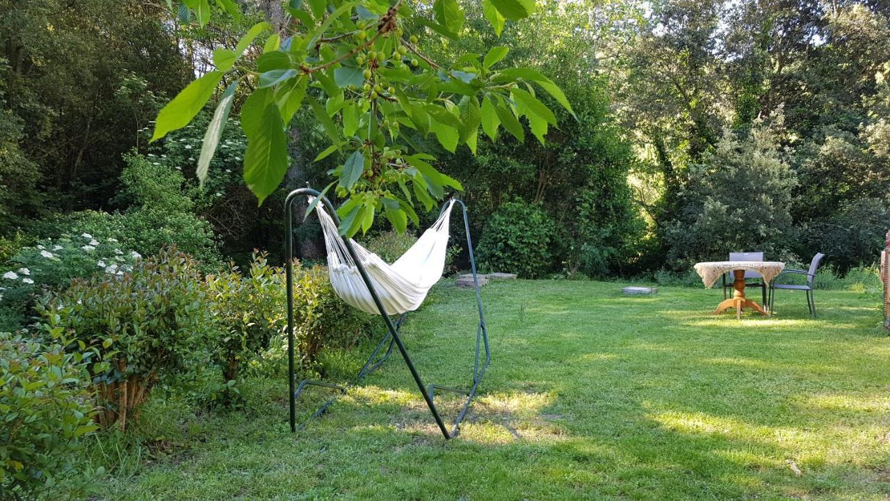 Beautiful Studio Surrounded By Nature Lanet Kültér fotó