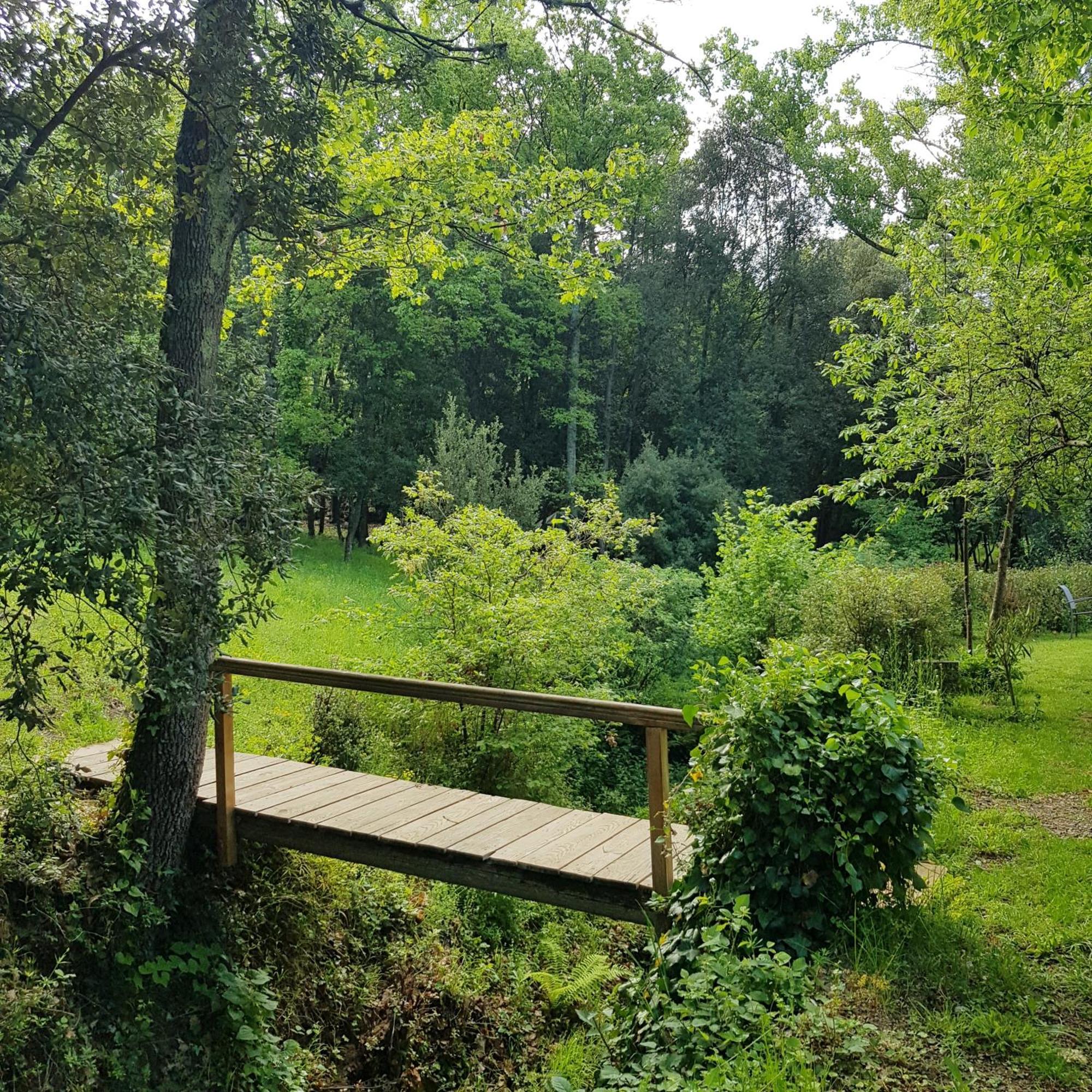 Beautiful Studio Surrounded By Nature Lanet Kültér fotó